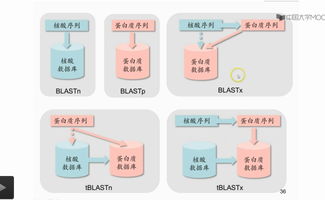 生物信息学课程