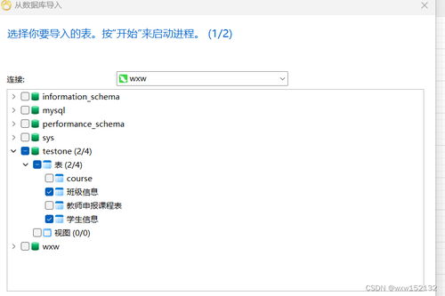 学生信息表e r图