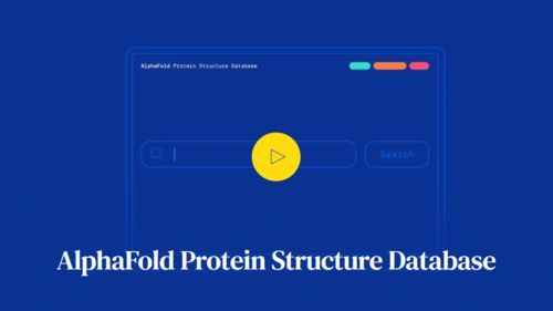 日本诞生最高网速 首次全球云上转播奥运会