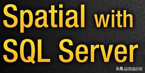 GIS数据的主要类型及其应用